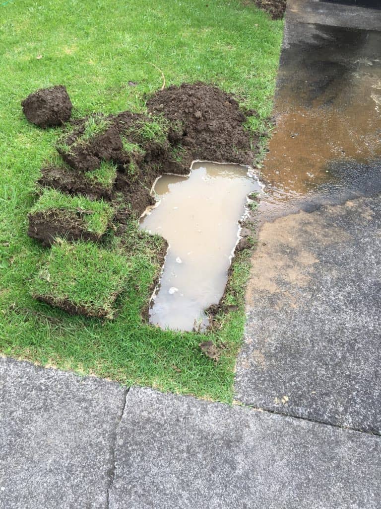 water leak - leak detection may be required - Leak Detection Auckland