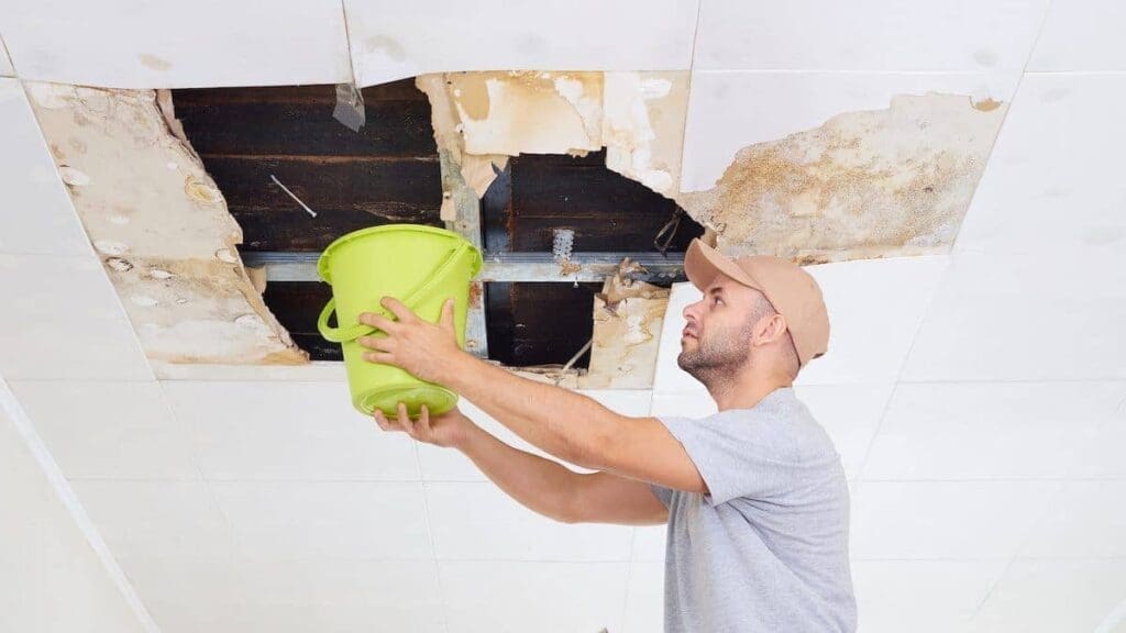Roof Leaking Auckland - roof maintenance