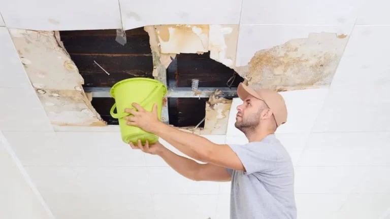 Fixing Roof Leaks: Safeguarding Your Home Against Water Damage