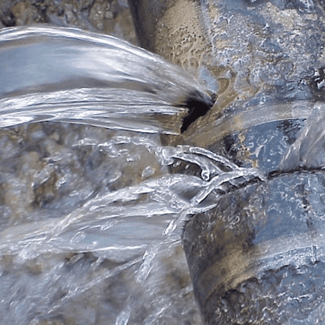 Trusted Auckland Plumber for Reliable Flood Repairs